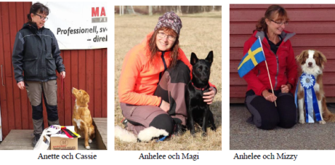 Årets VaBK-ekipage 2015