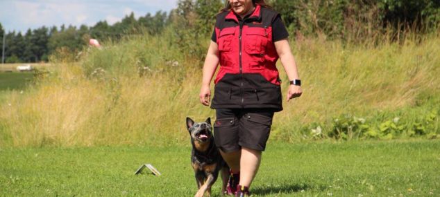 Rallylydnadskurs i avancerad klass