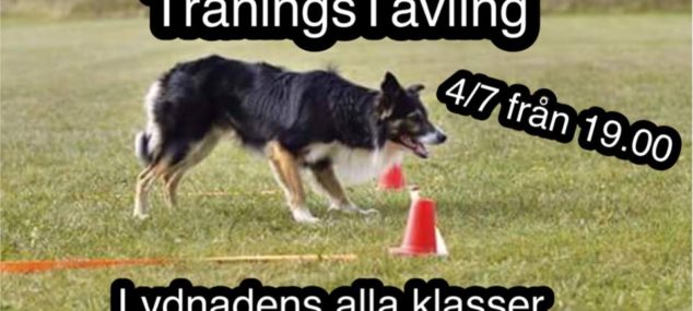 Träningstävling Lydnad 4 juli