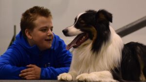 Läs mer om artikeln Kurs i höst för hundintresserade juniorer