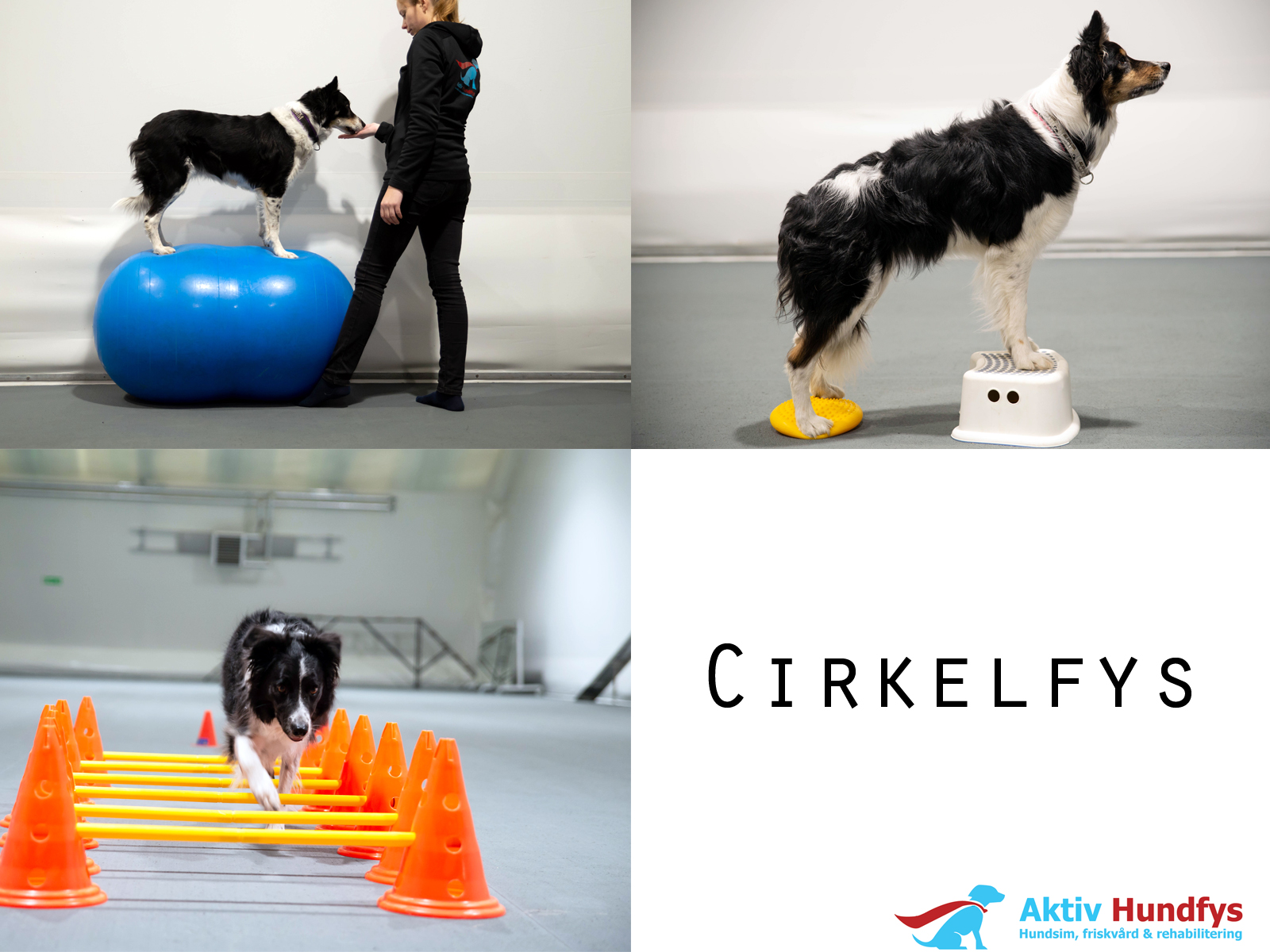 Du visar för närvarande Cirkelfys-kurs