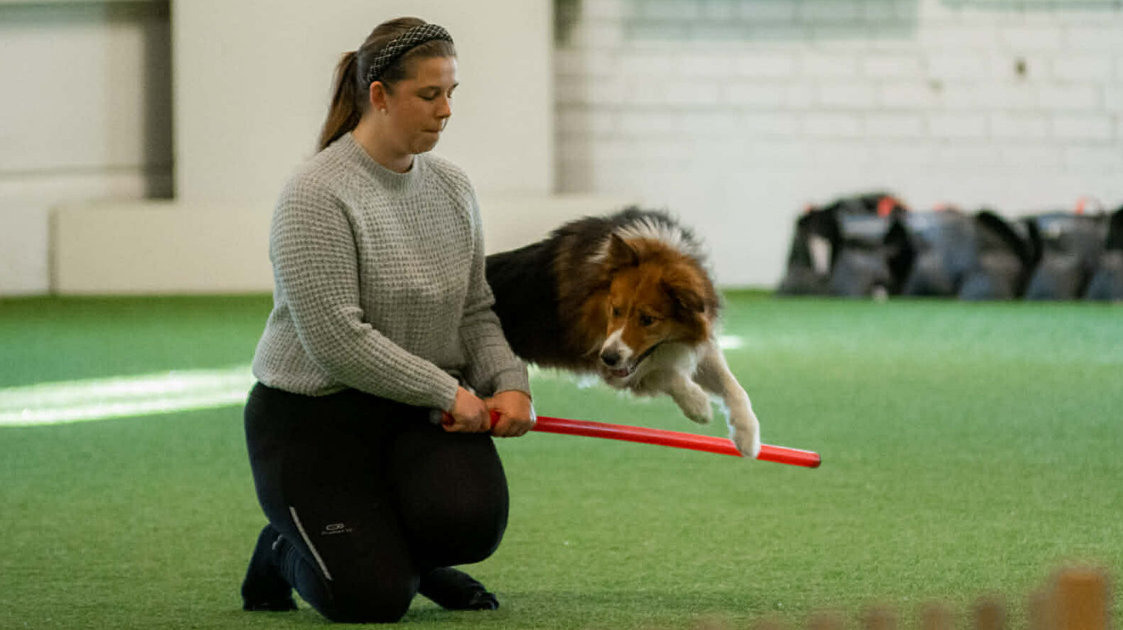 Du visar för närvarande Nybörjarkurs i Freestyle