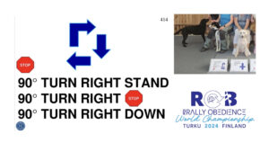 Läs mer om artikeln Kurs i rallylydnadens FCI-klass